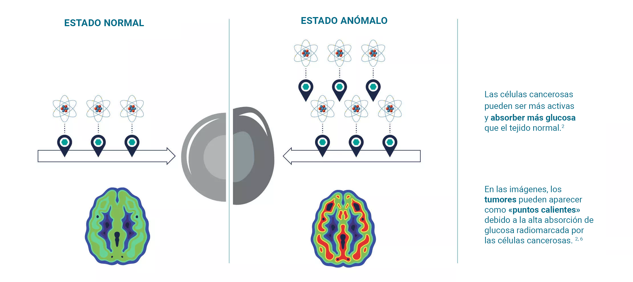 Imaging cancer-es