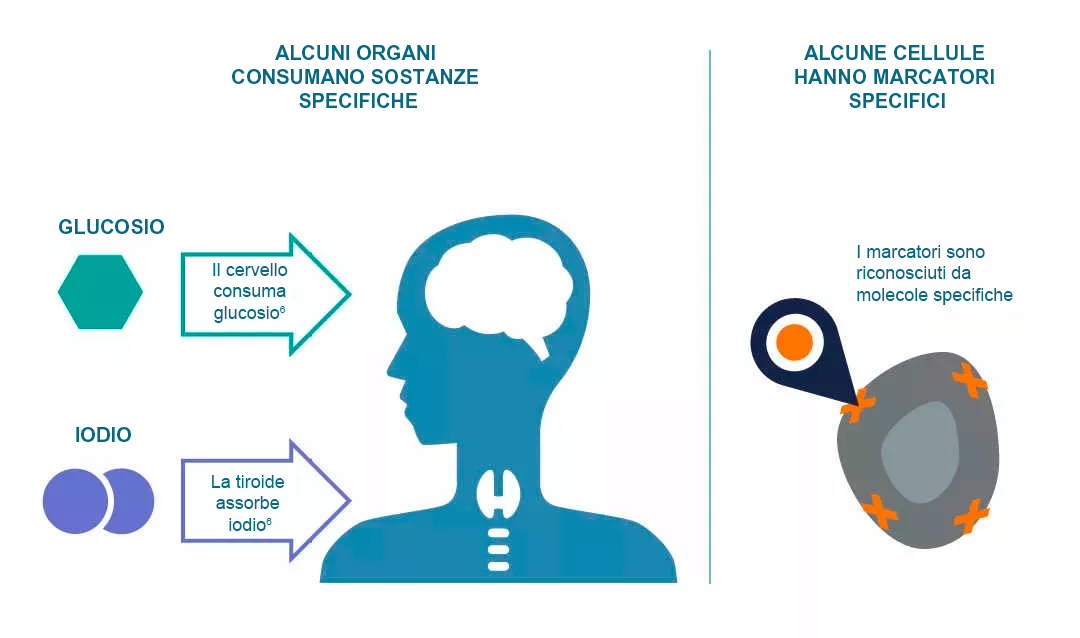 nuclear-medicine-imaging-delivery-agents
